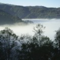 /album/foro-bio-regional/pixquiaca5-ecoturismo-realmexico-info-jpg/