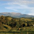 /album/foro-bio-regional/cofre-jpg/